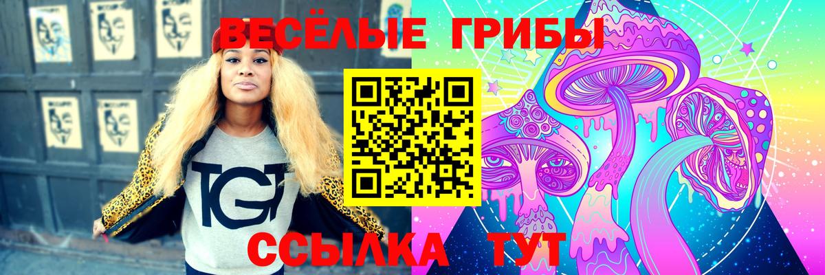 Псилоцибиновые грибы Осинники