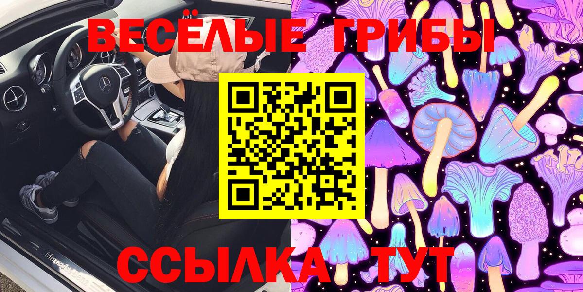 Псилоцибиновые грибы GOLDEN TEACHER Осинники